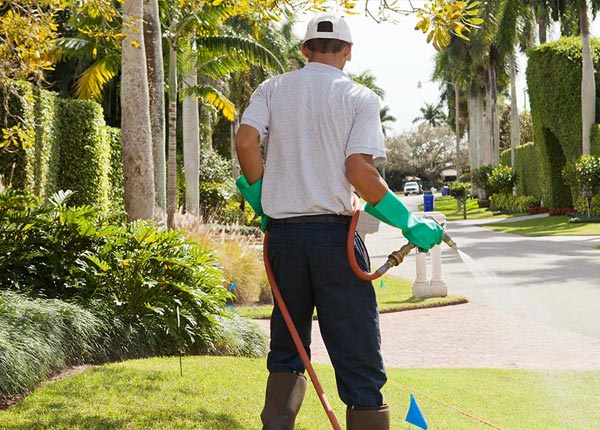 About Olanta SC Pest Control Pros